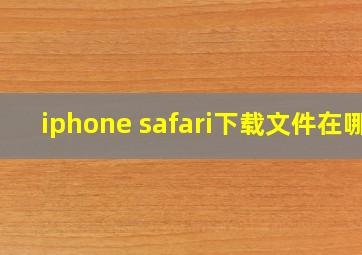 iphone safari下载文件在哪